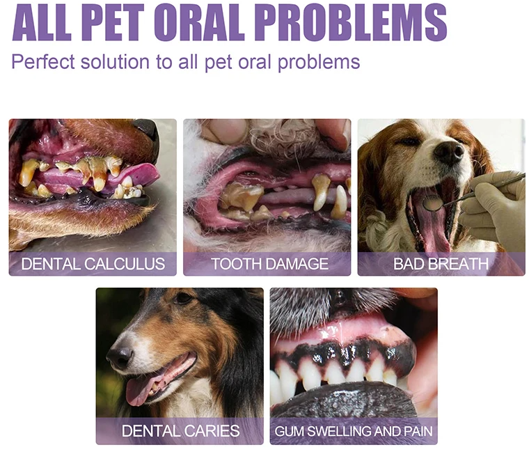 (Compre 1 & Lleva 2)🎁Serum Limpieza Oral Mascotas Avanzado🔥ENVÍO GRATIS
